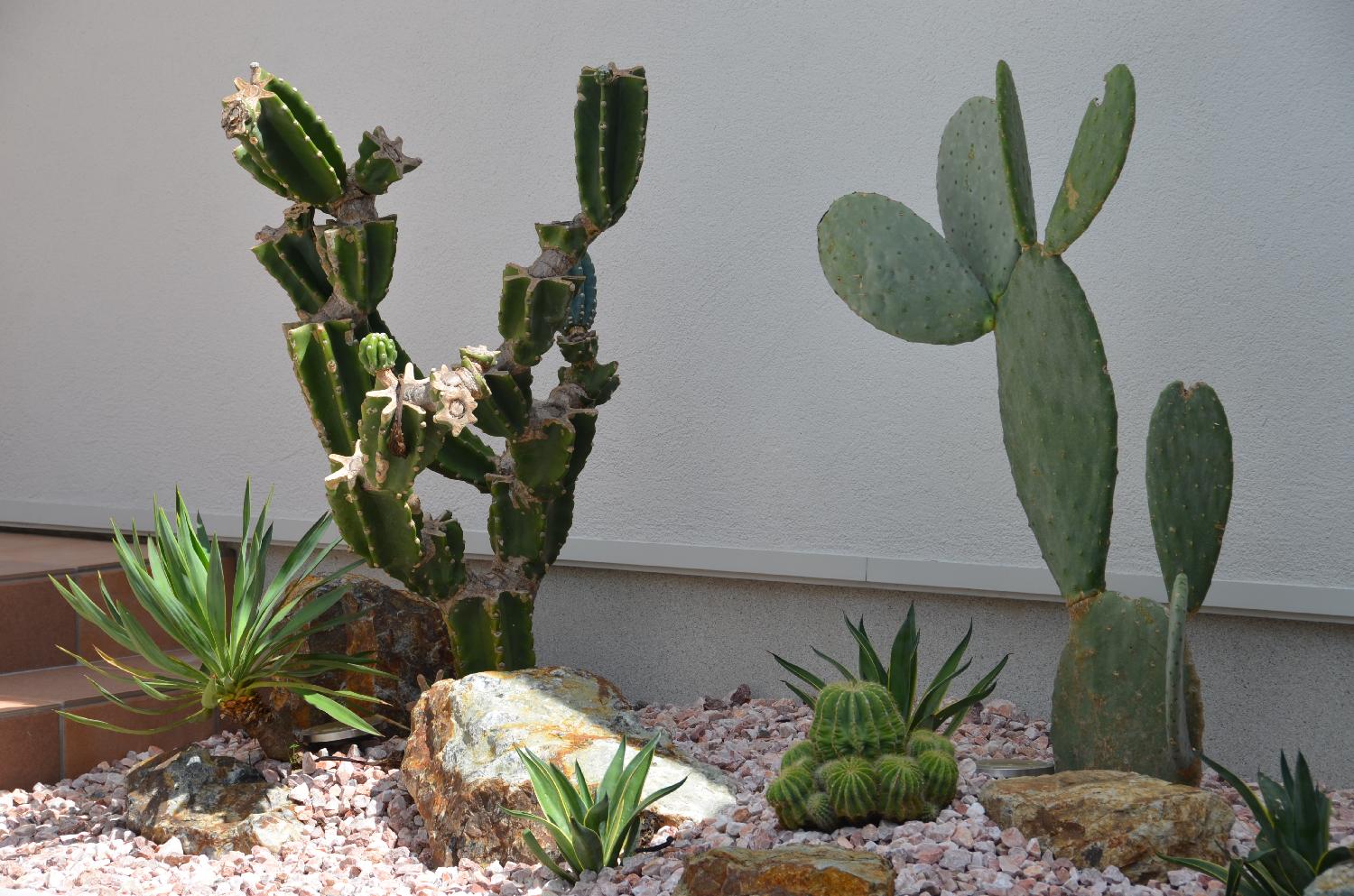 植栽はロックガーデン風に